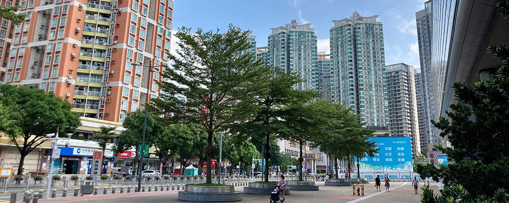 深圳地王ビル02